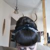 jodie_pemberton